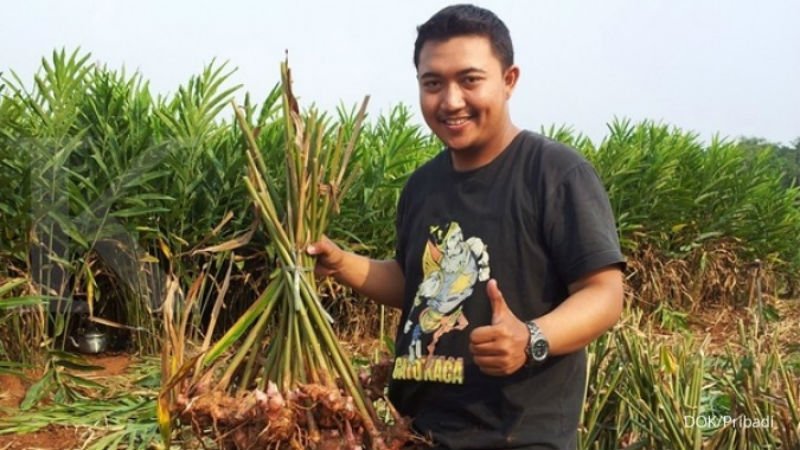 Sektor Agribisnis Masih Menguntungkan, Menanam Rempah-Rempah Diakui Pengusaha Ini Membawa Untung Berlimpah